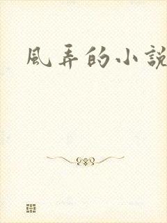 风弄的小说