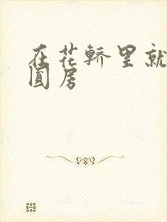 在花轿里就开始圆房