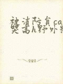 被消防员cao哭高h野外糙汉h