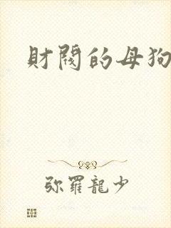 财阀的母狗们封面