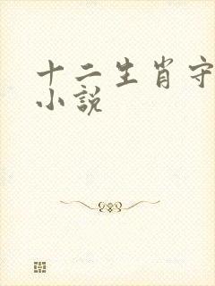 十二生肖守护神小说