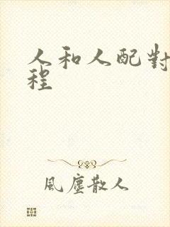 人和人配对全过程封面