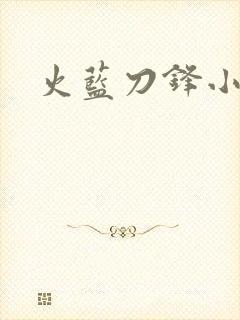 火蓝刀锋小说