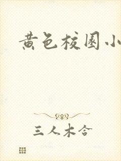 黄色校园小说封面