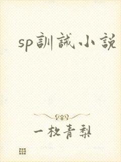 sp训诫小说