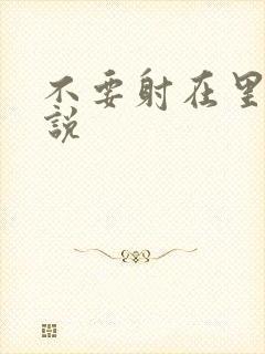 不要射在里面小说