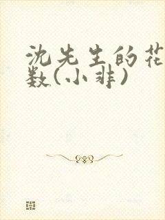 沈先生的花式调数(小非)