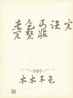 老乞丐没完没了完整版