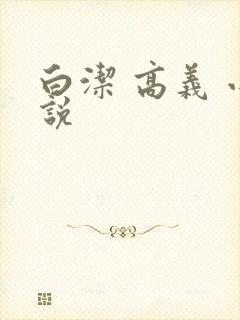 白洁 高义 小说