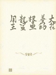 用龙根养大的公主鲨鱼的花