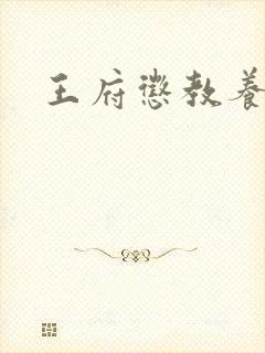 王府惩教养日常