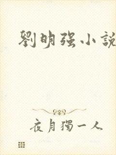 刘明强小说封面