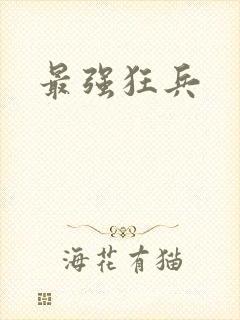 最强狂兵封面