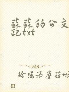 苏苏的公交车日记txt