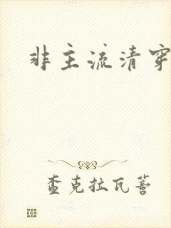 非主流清穿