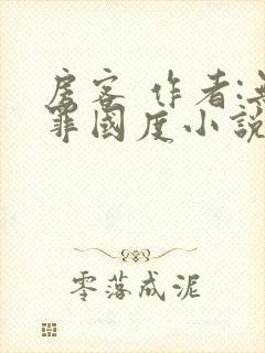 房客 作者:无罪国度小说全文免费封面