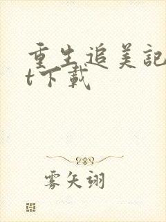 重生追美记txt下载封面