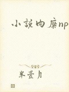 小说肉糜np封面