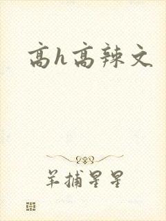 高h高辣文