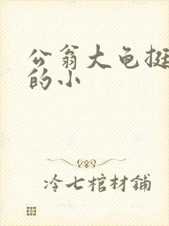 公翁大龟挺进我的小