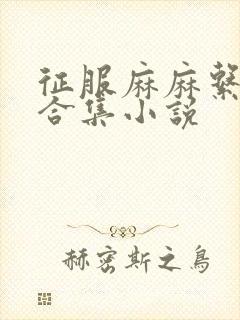 征服麻麻系列大合集小说