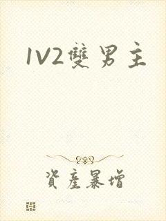1V2双男主