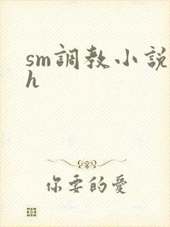 sm调教小说高h