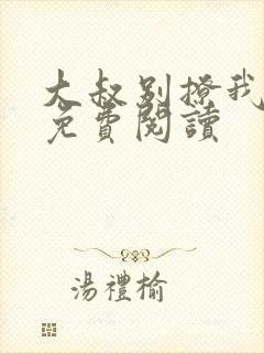 大叔别撩我小说免费阅读