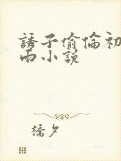 诱子偷伦初尝云雨小说