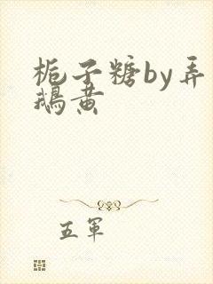 栀子糖by弄白鹅黄