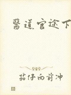 医道官途下载封面