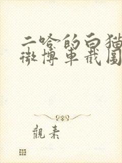 二哈的白猫师尊微博车截图