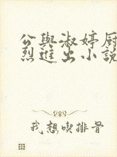 公与淑婷厨房猛烈进出小说