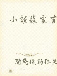 小说苏家有女封面