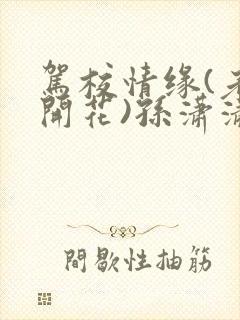 驾校情缘(老树开花)孙潇潇笔趣阁封面