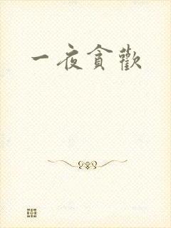 一夜贪欢