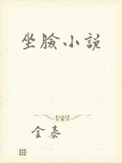 坐脸小说封面