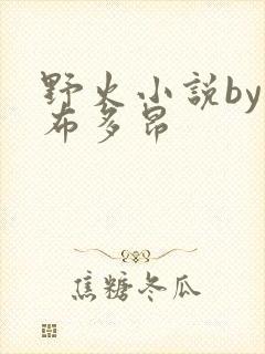 野火小说by夏布多昂