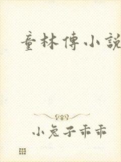 童林传小说封面