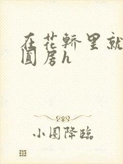 在花轿里就开始圆房h