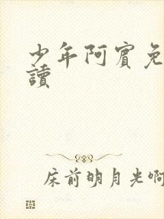 少年阿宾免费阅读