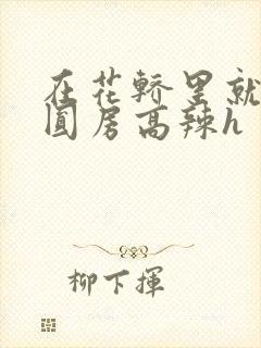 在花轿里就开始圆房高辣h