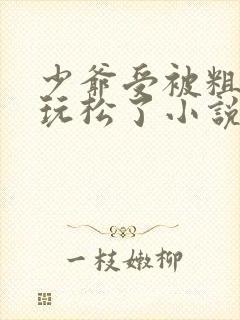 少爷受被粗汉H玩松了小说