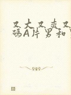 又大又爽又黄无码A片男和男