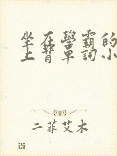 坐在学霸的棍子上背单词小说