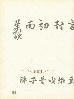 叶南初 封言小说