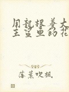 用龙根养大的公主鲨鱼的花