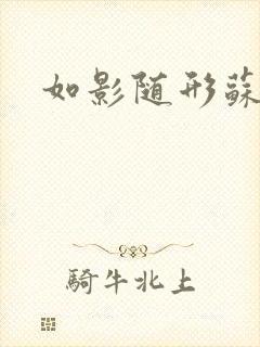 如影随形苏玛丽封面