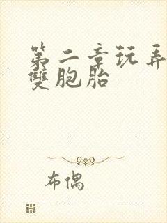 第二章玩弄少妇双胞胎封面