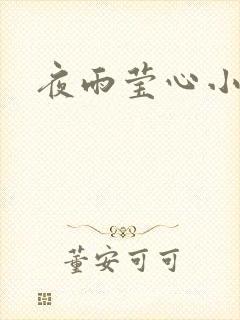 夜雨莹心小说